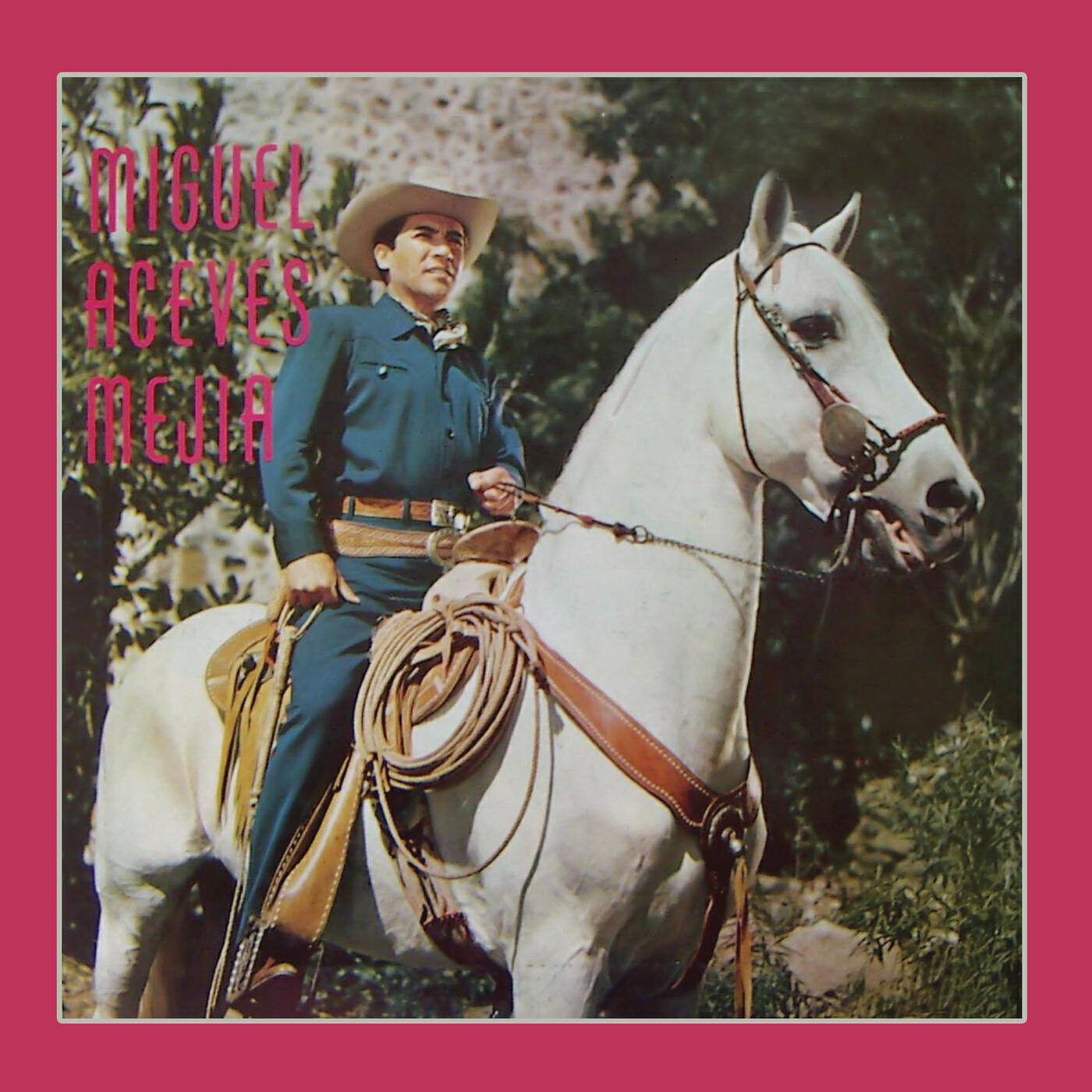 Miguel Aceves Mejia - Bala Perdida