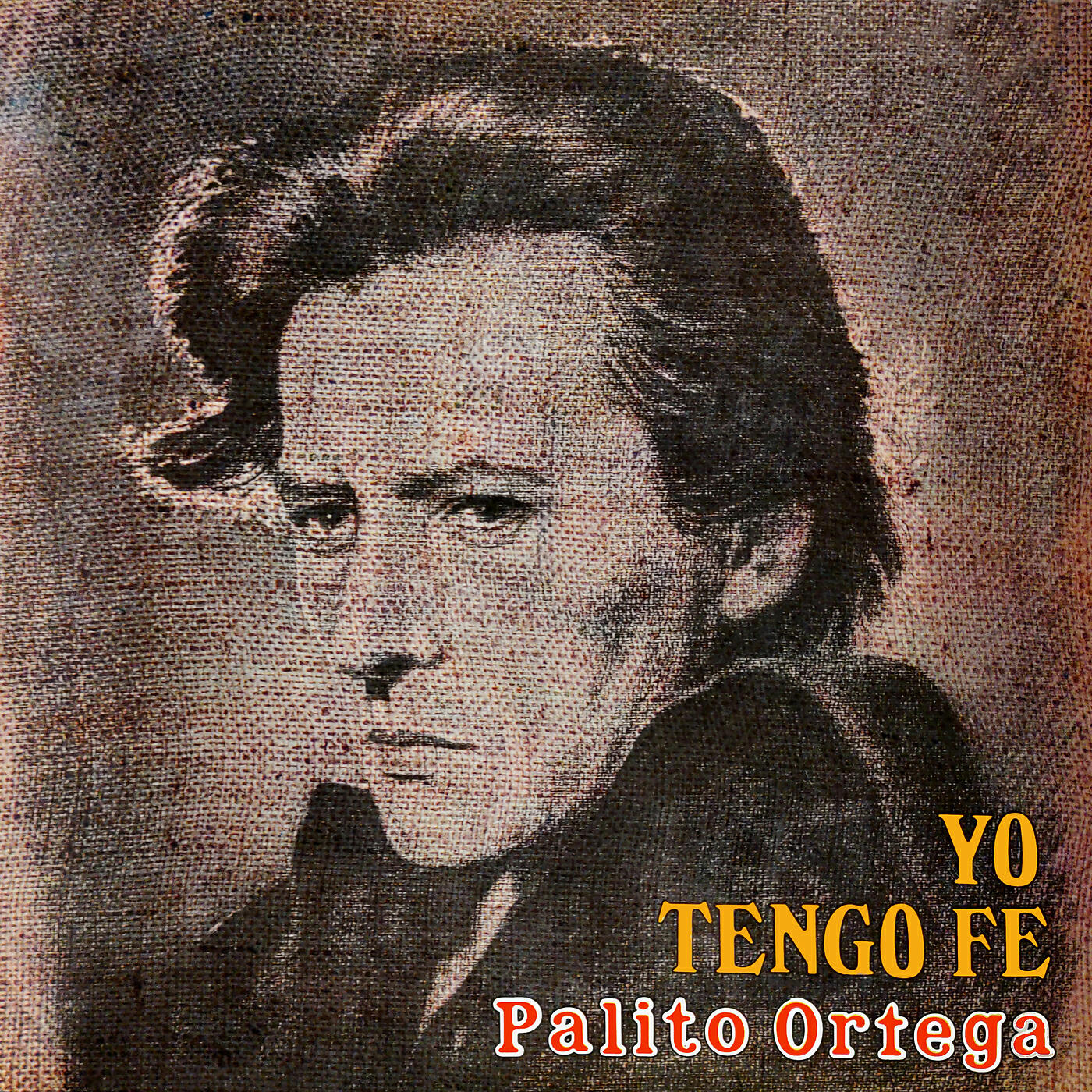 Palito Ortega - Para Llegar a Ti