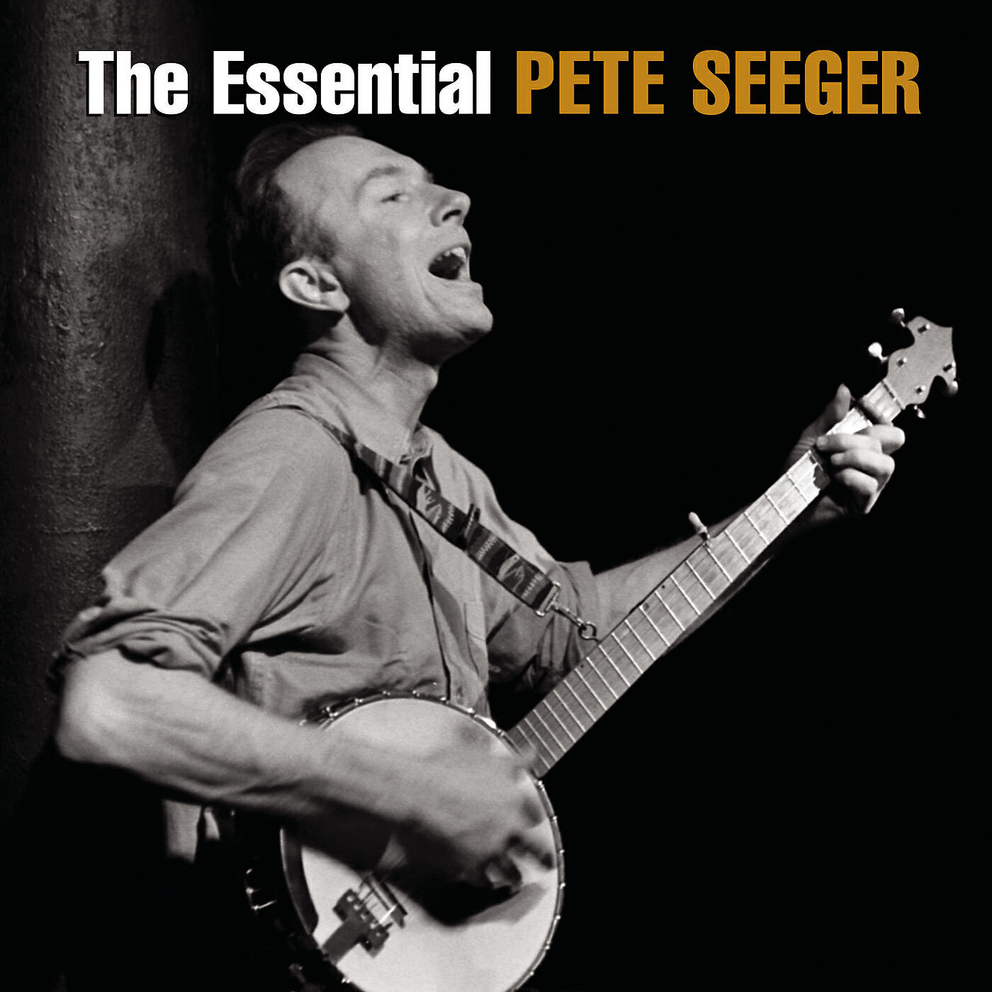 Pete Seeger - My Dirty Stream (The Hudson River Song)