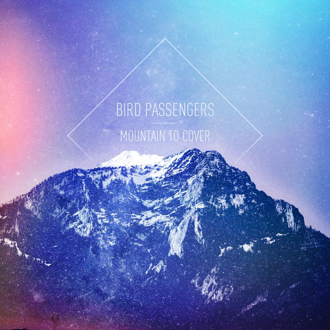 Bird Passengers - When I'm Up