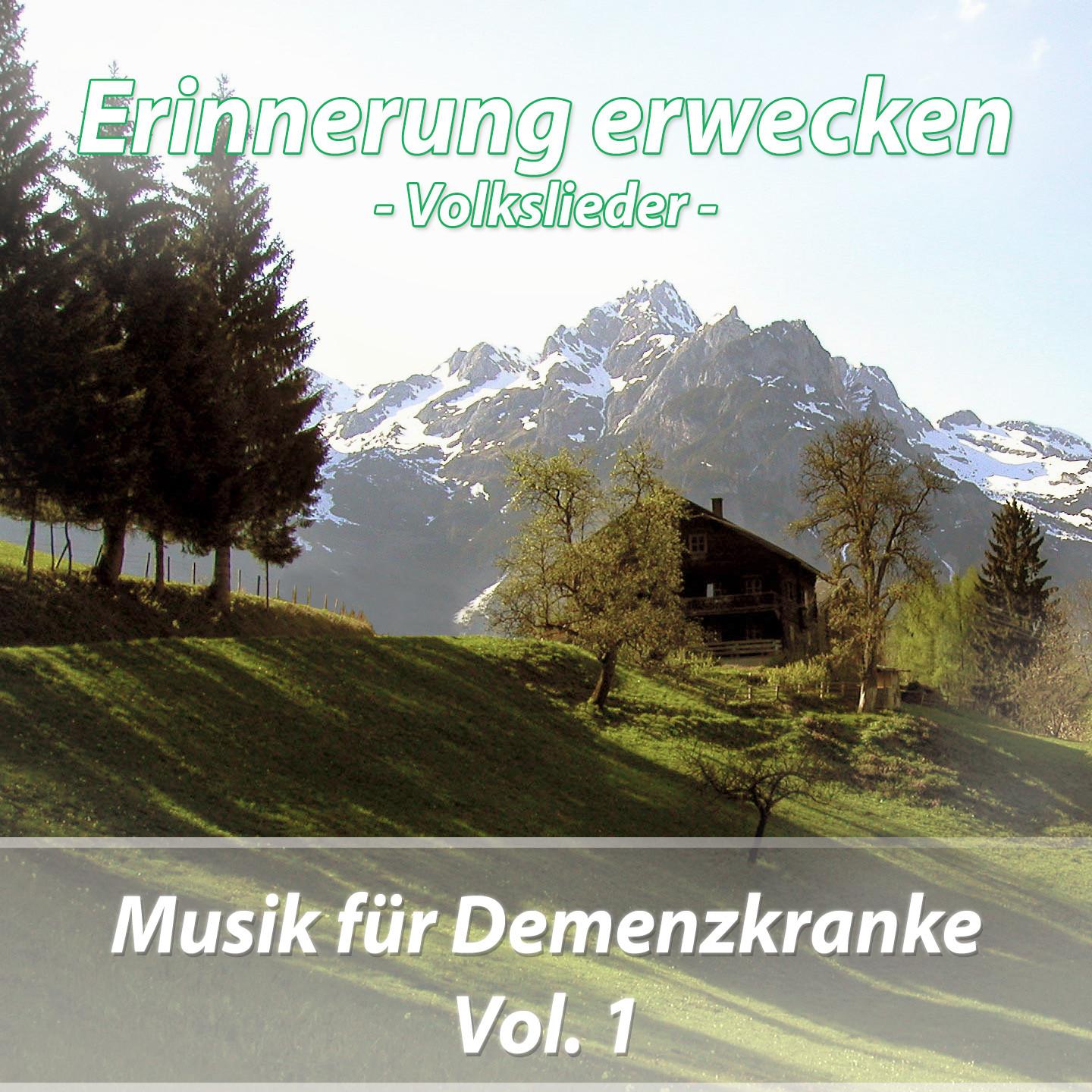 Постер альбома Musik für Demenzkranke, Vol. 1