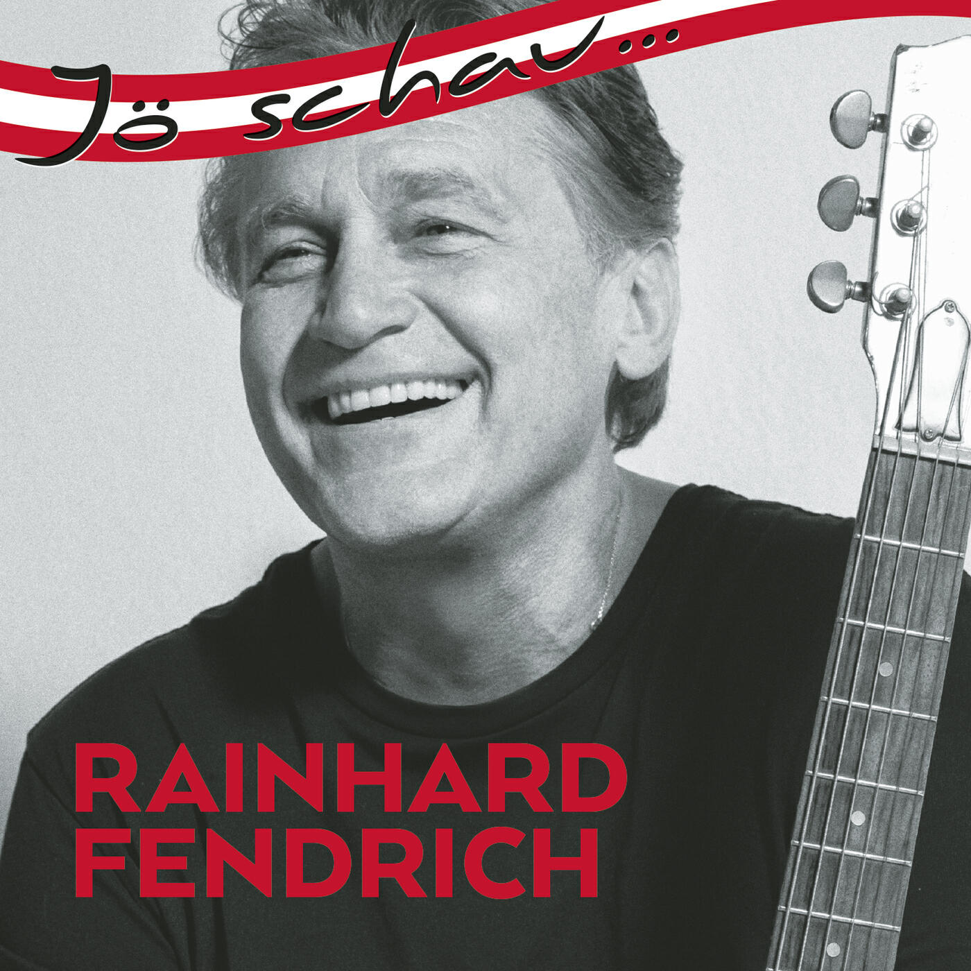 Rainhard Fendrich - Weus'd a Herz hast wia Bergwerk