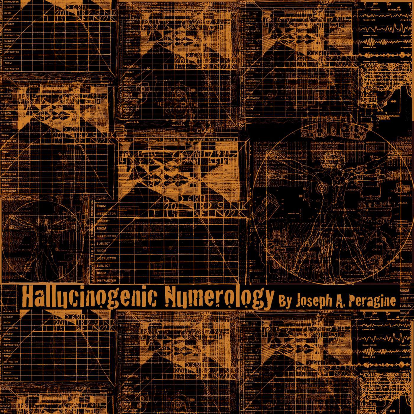Постер альбома Hallucinogenic Numerology