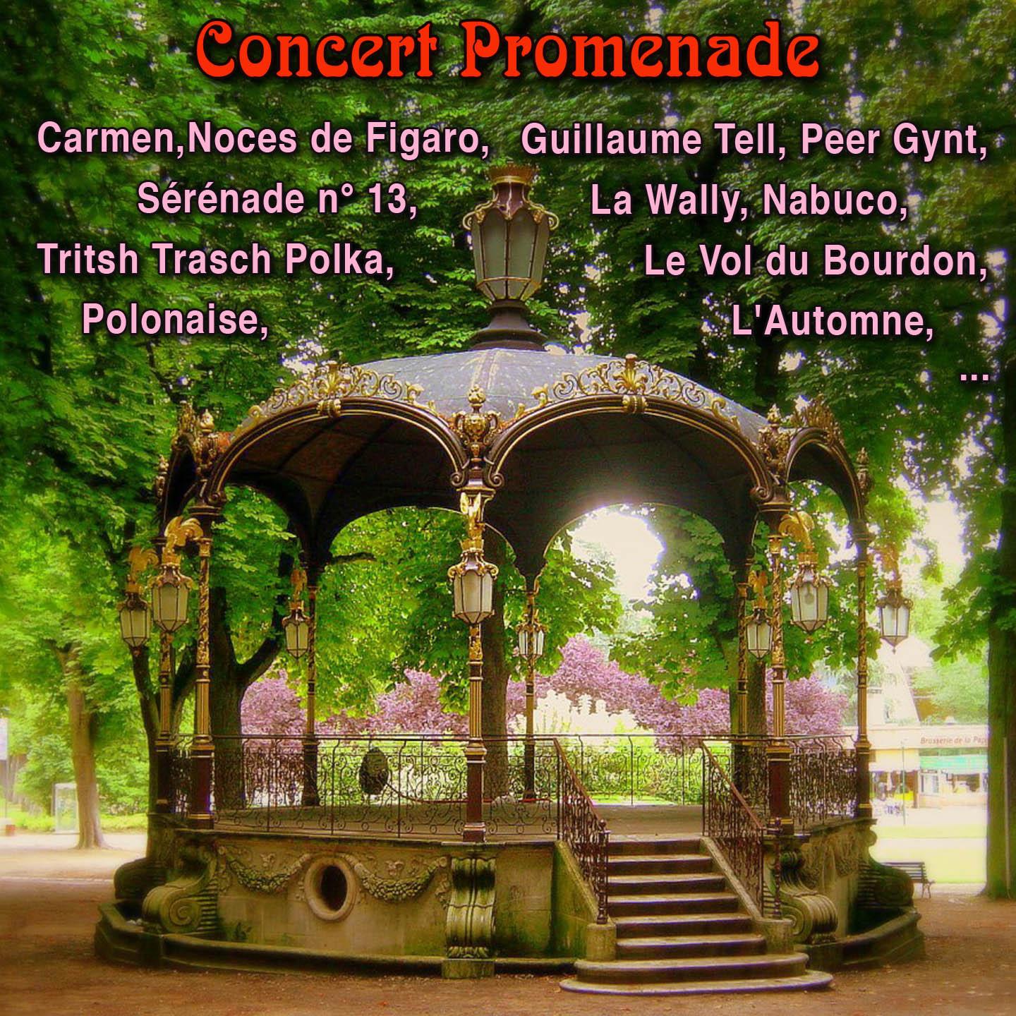 Постер альбома Concert promenade