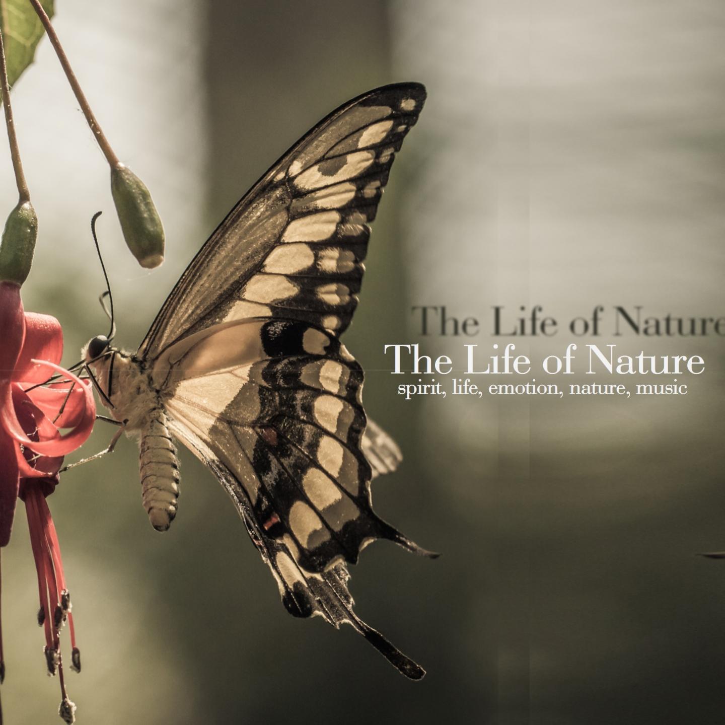 Постер альбома The Life of Nature