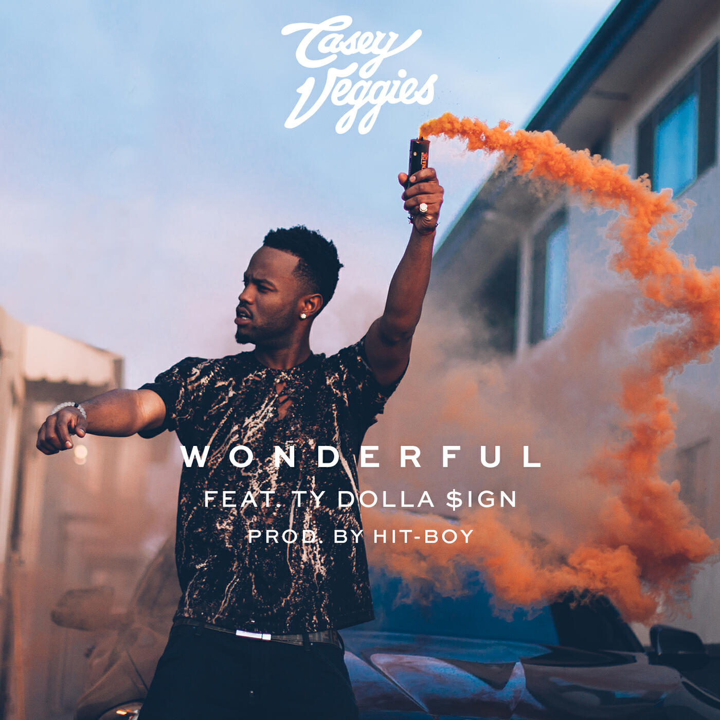 Casey Veggies - Wonderful