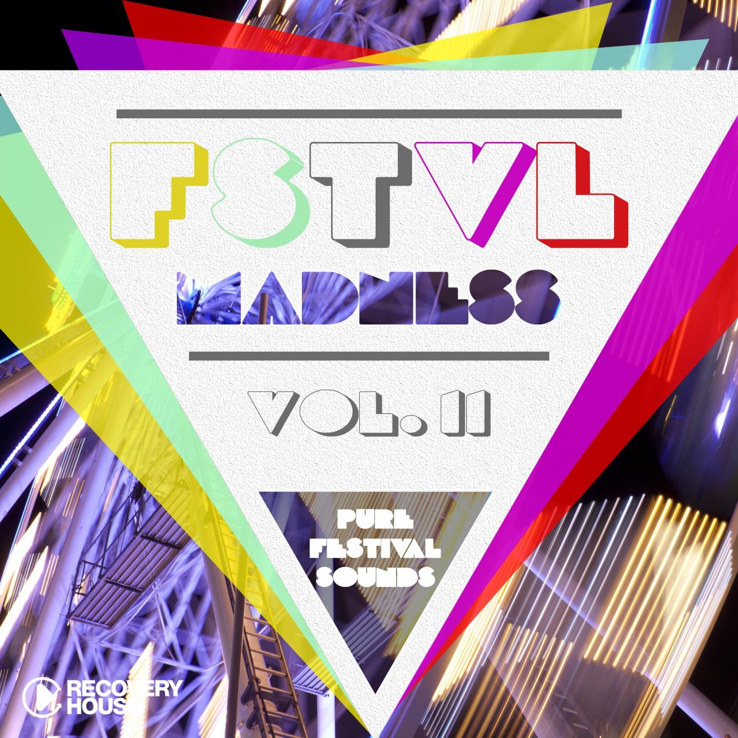Постер альбома FSTVL Madness, Vol. 12 - Pure Festival Sounds