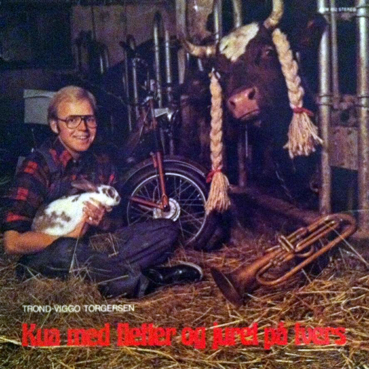 Trond-Viggo Torgersen - Annikens bamse