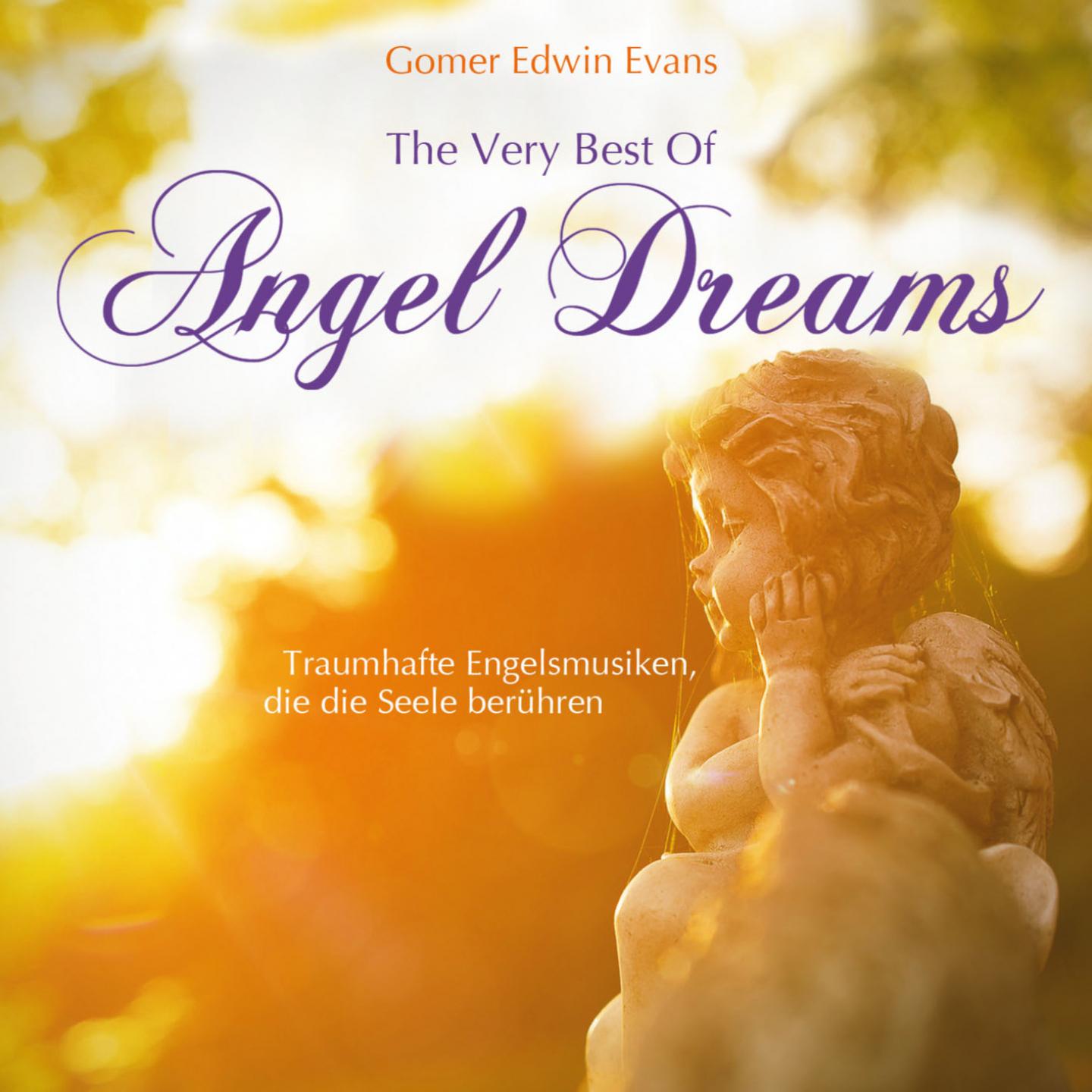 Постер альбома The Very Best Of Angel Dreams