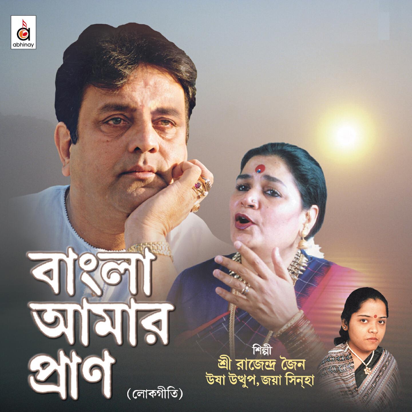 Rajendra Jain - Aamaar Piyaa Aazo Hoylo Naa