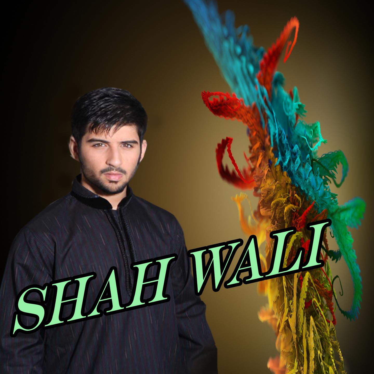 Постер альбома Shah Wali
