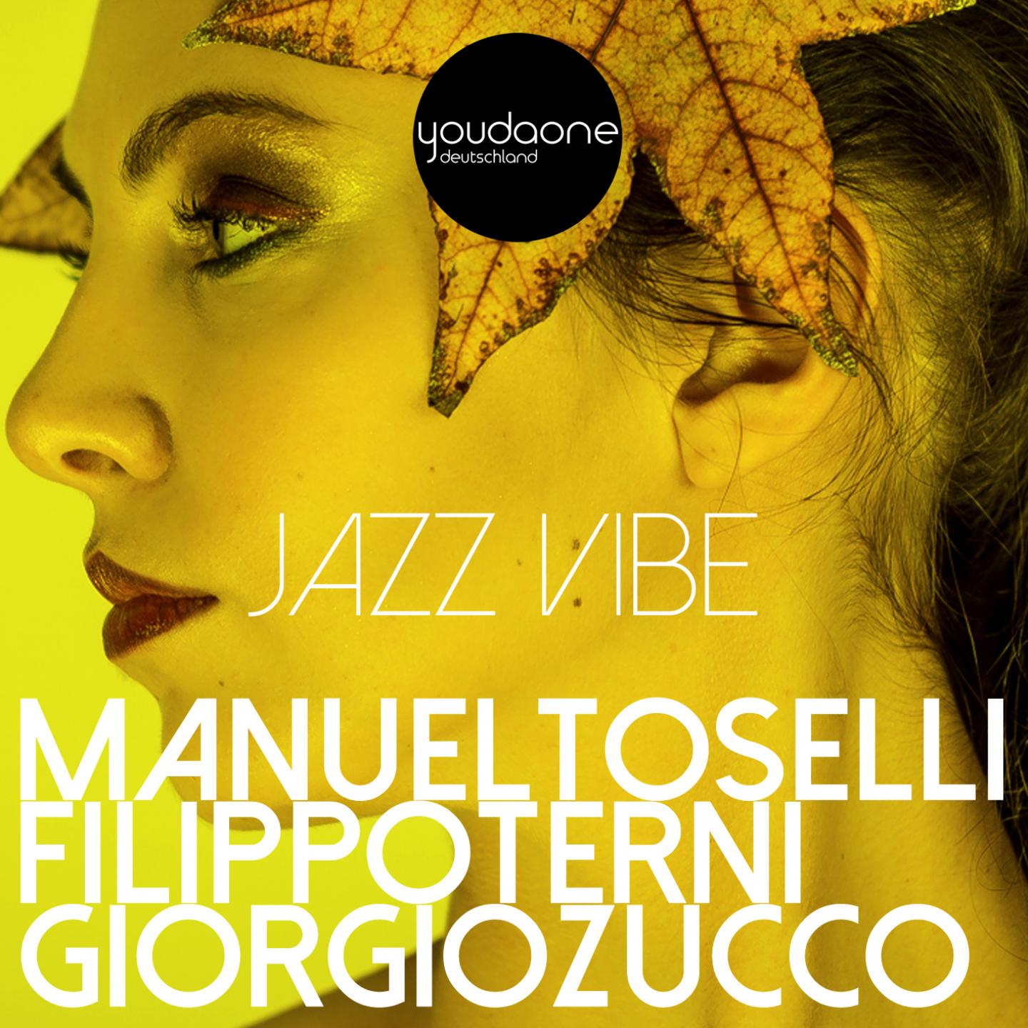 Постер альбома Jazz Vibe