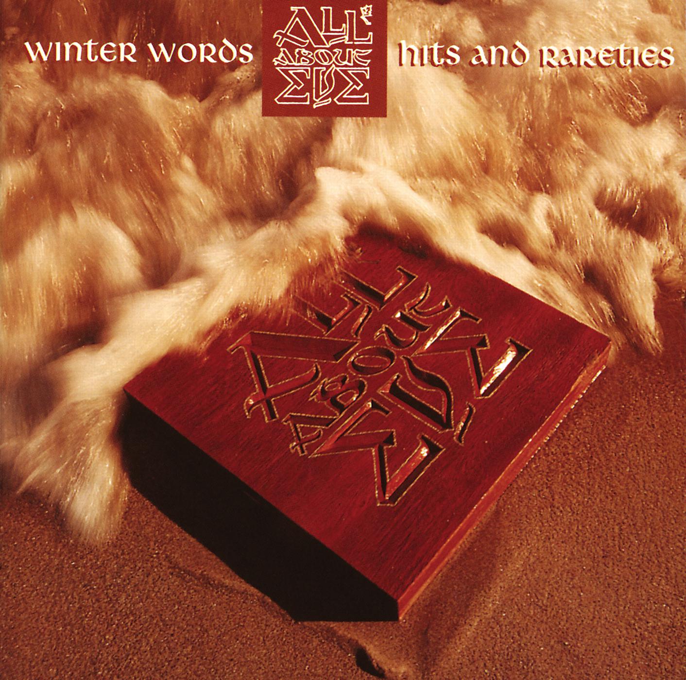 Постер альбома Winter Words - Hits And Rareties