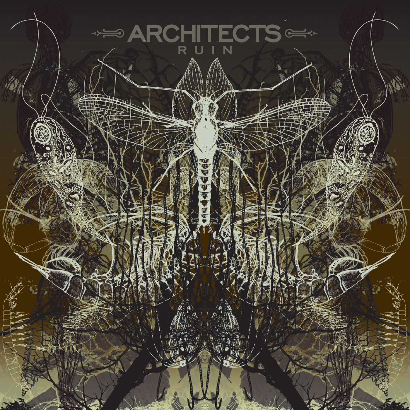 Architects - Heartless