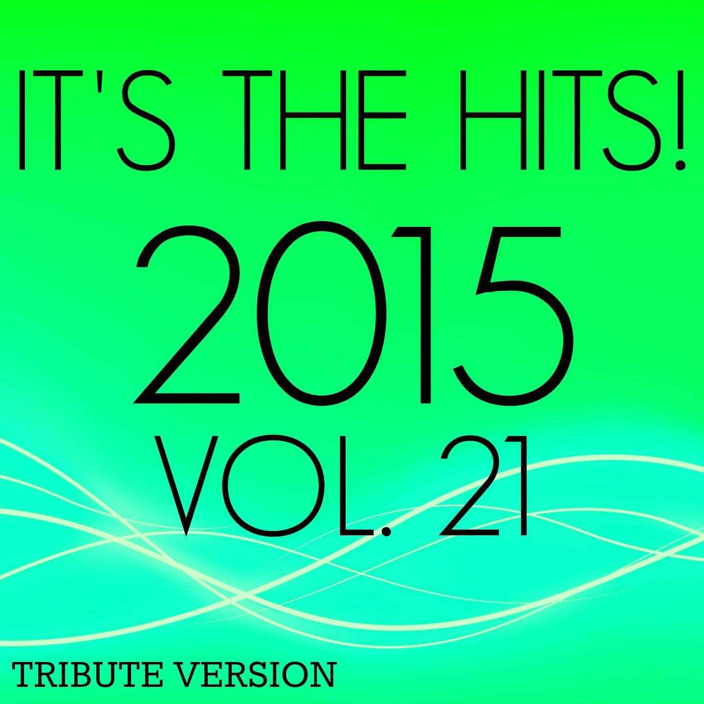 Постер альбома It's the Hits! 2015, Vol.21