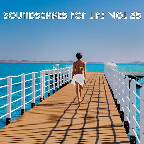 Постер альбома Soundscapes For Life, Vol. 25