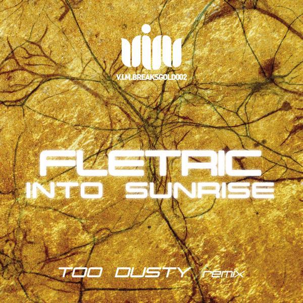 Fletric - Into Sunrise (Too Dusty Remix)