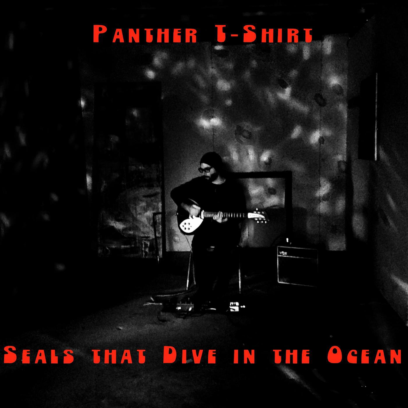 Panther T-Shirt - Body Place and Time