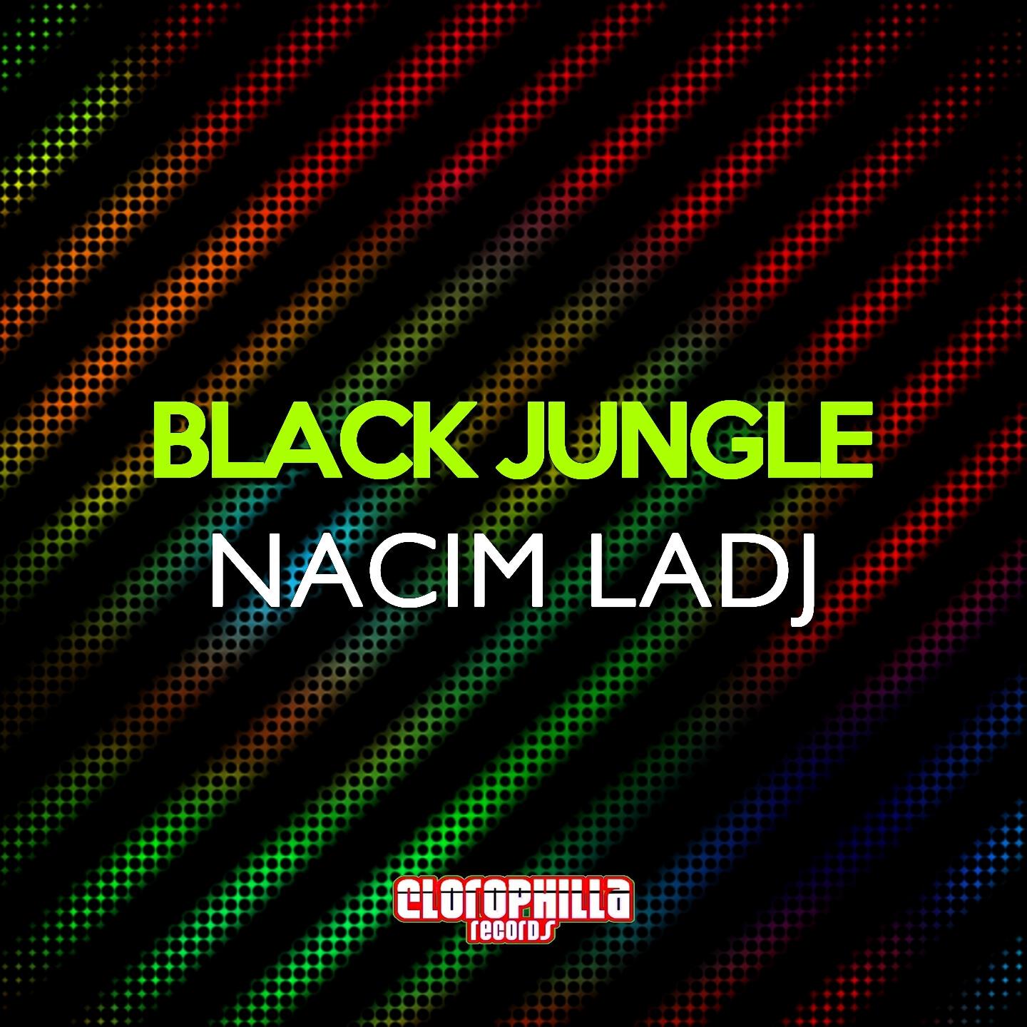 Nacim Ladj - Black Jungle (Dani San & Fritz Fridulin Remix)