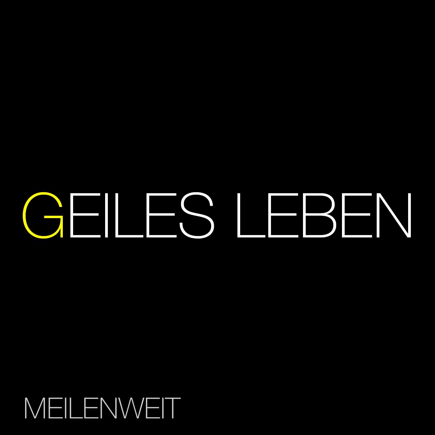 Постер альбома Geiles Leben