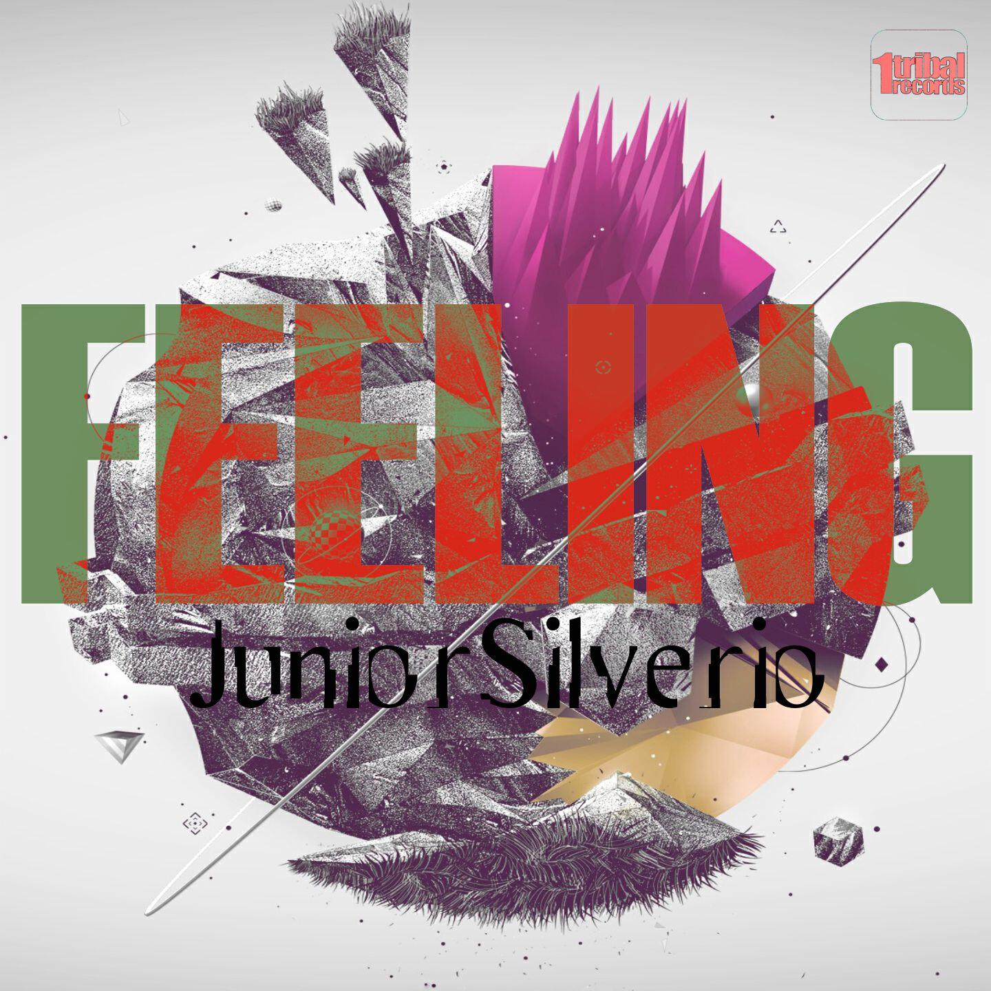Junior Silvério - Bass Kick