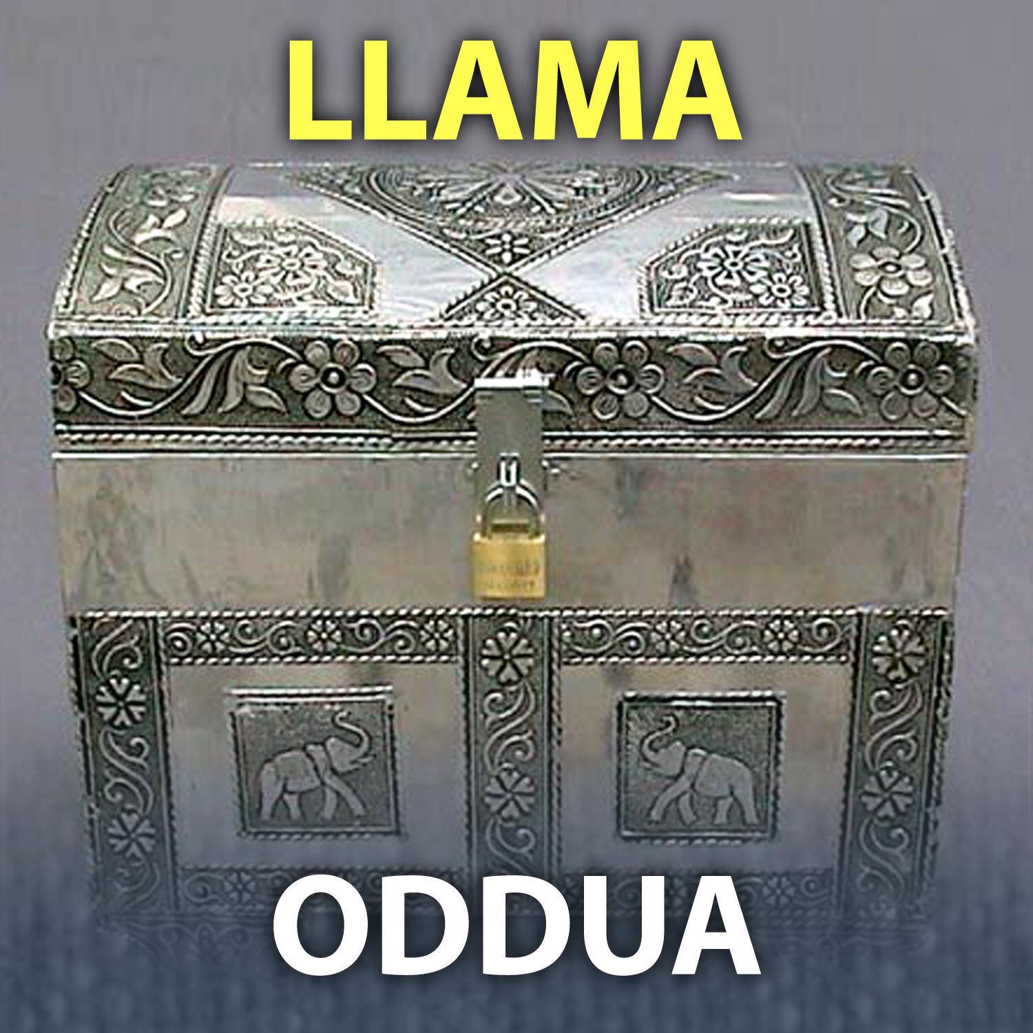 Abbilona Digital - Oddua Llama