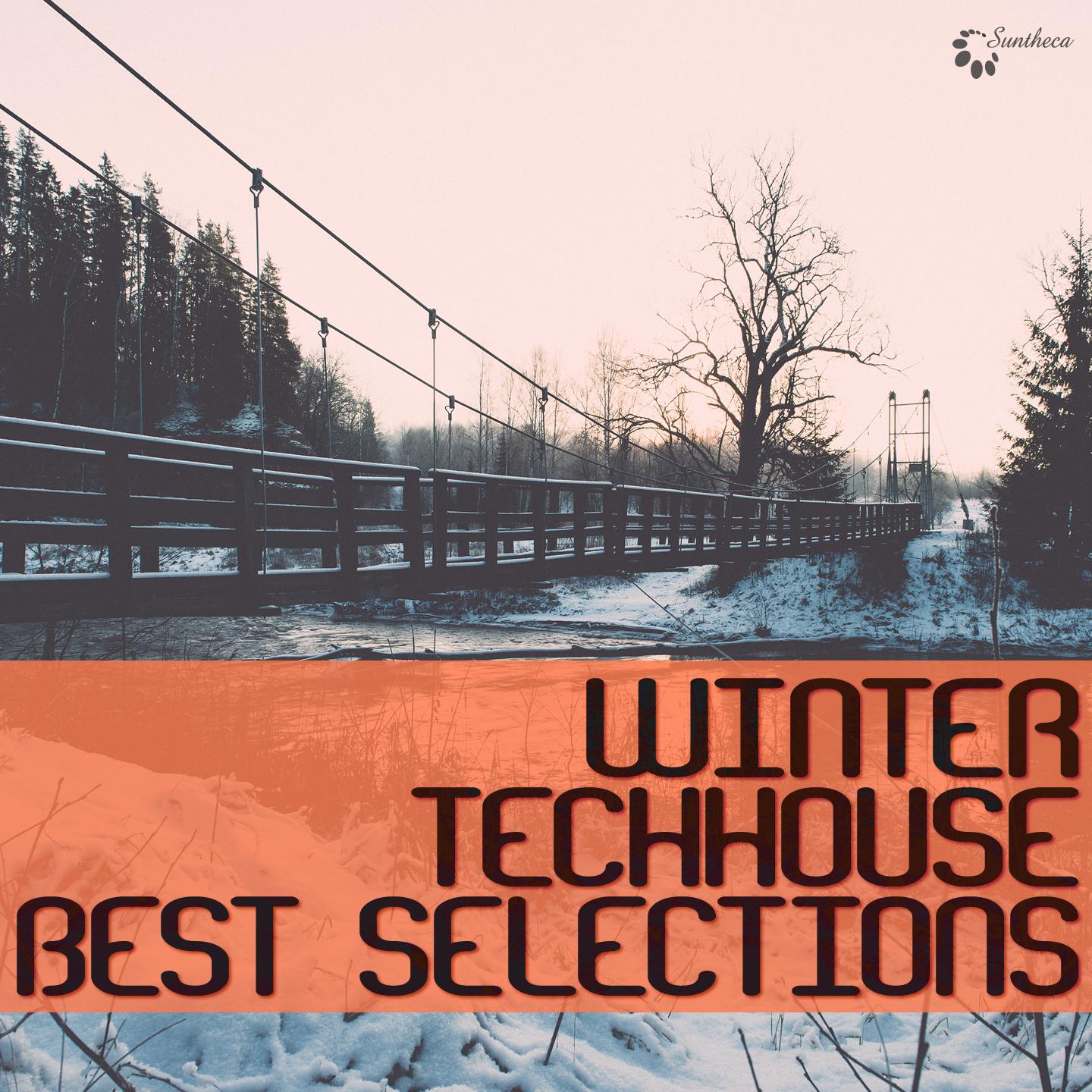 Постер альбома Winter Techhouse Best Selections