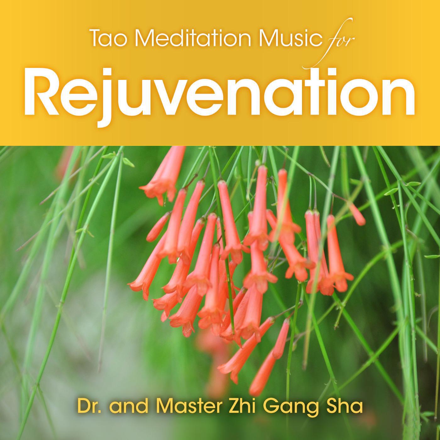 Dr. & Master Zhi Gang Sha - Tao Meditation Music for Rejuvenation