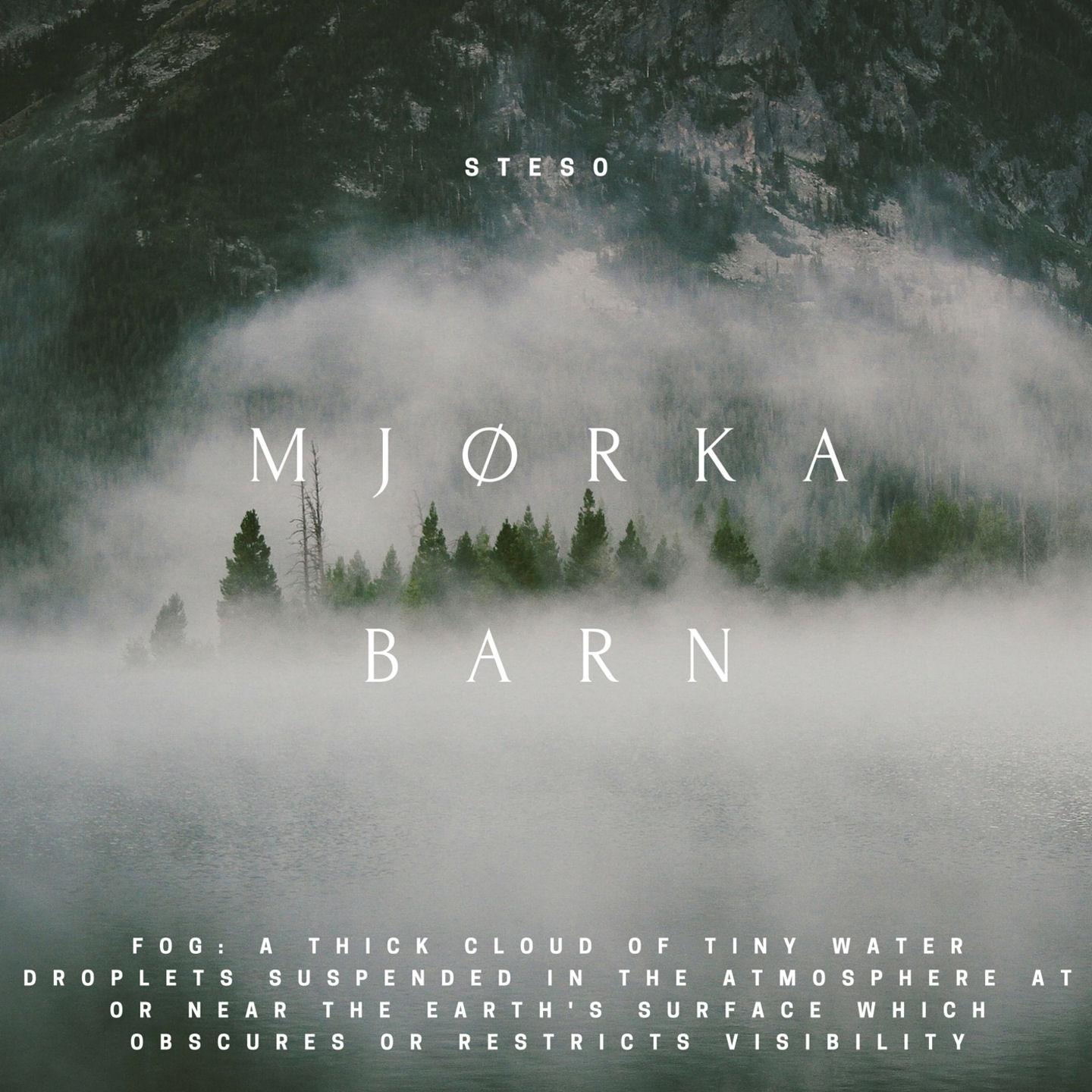 Постер альбома Mjørkabarn