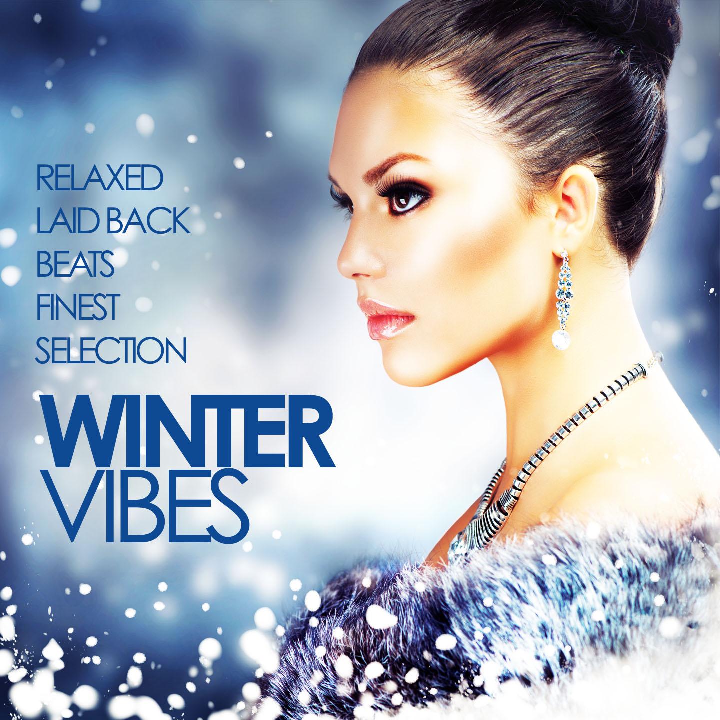 Постер альбома Winter Vibes