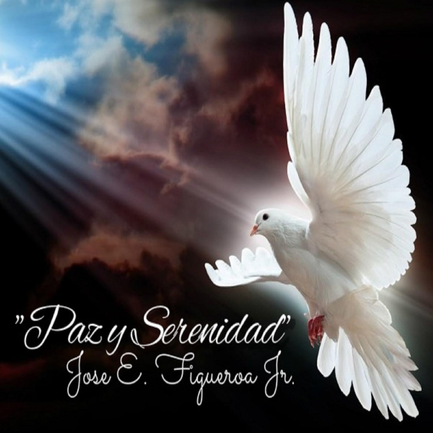 Постер альбома Paz Y Serenidad