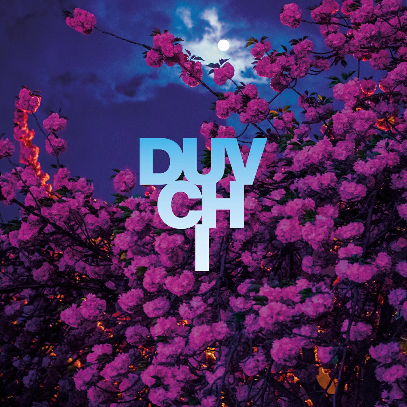 Duvchi - Unfamiliar Love (Kleerup Remix)