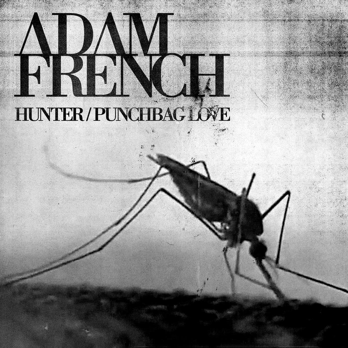 Постер альбома Hunter / Punchbag Love