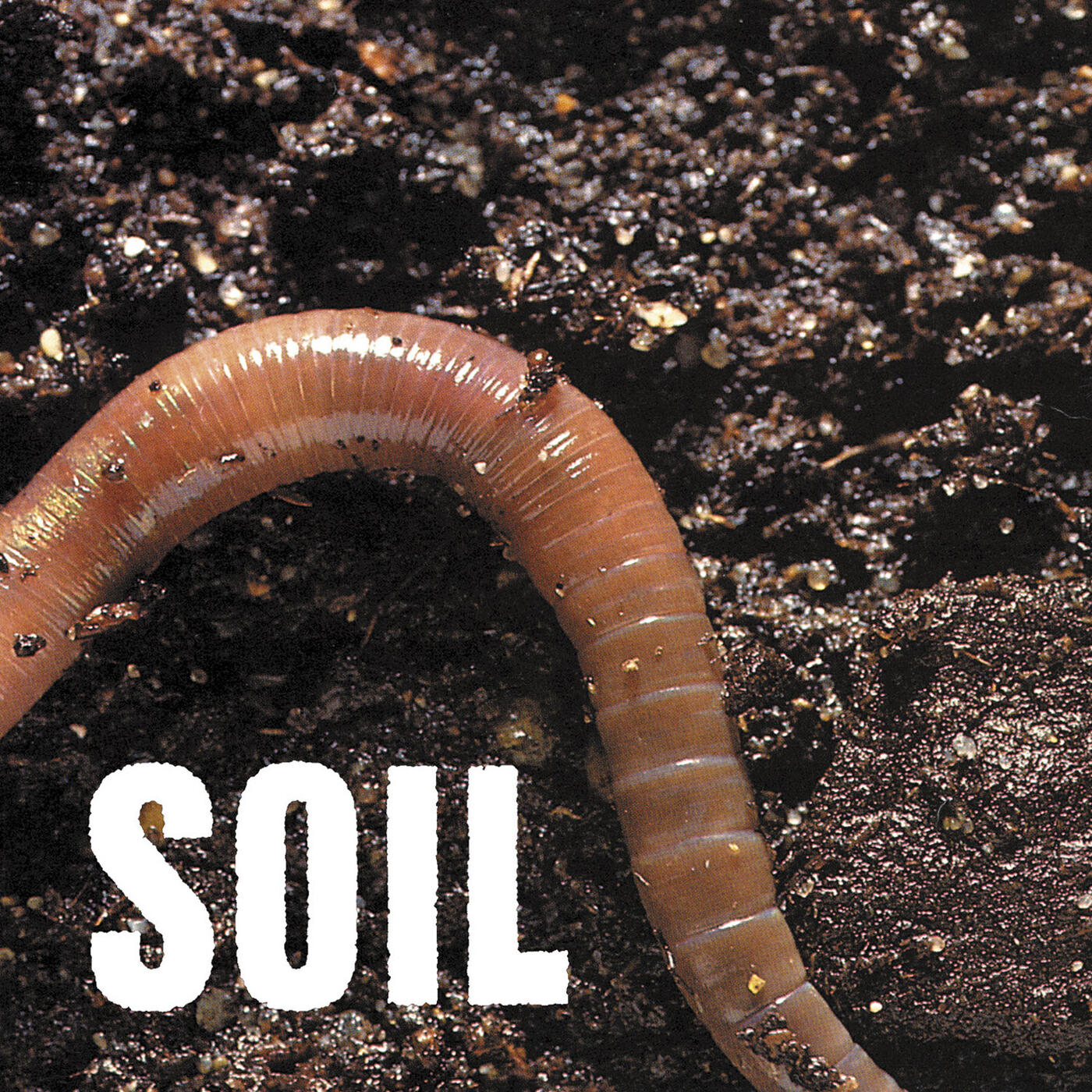 Постер альбома SOiL - EP