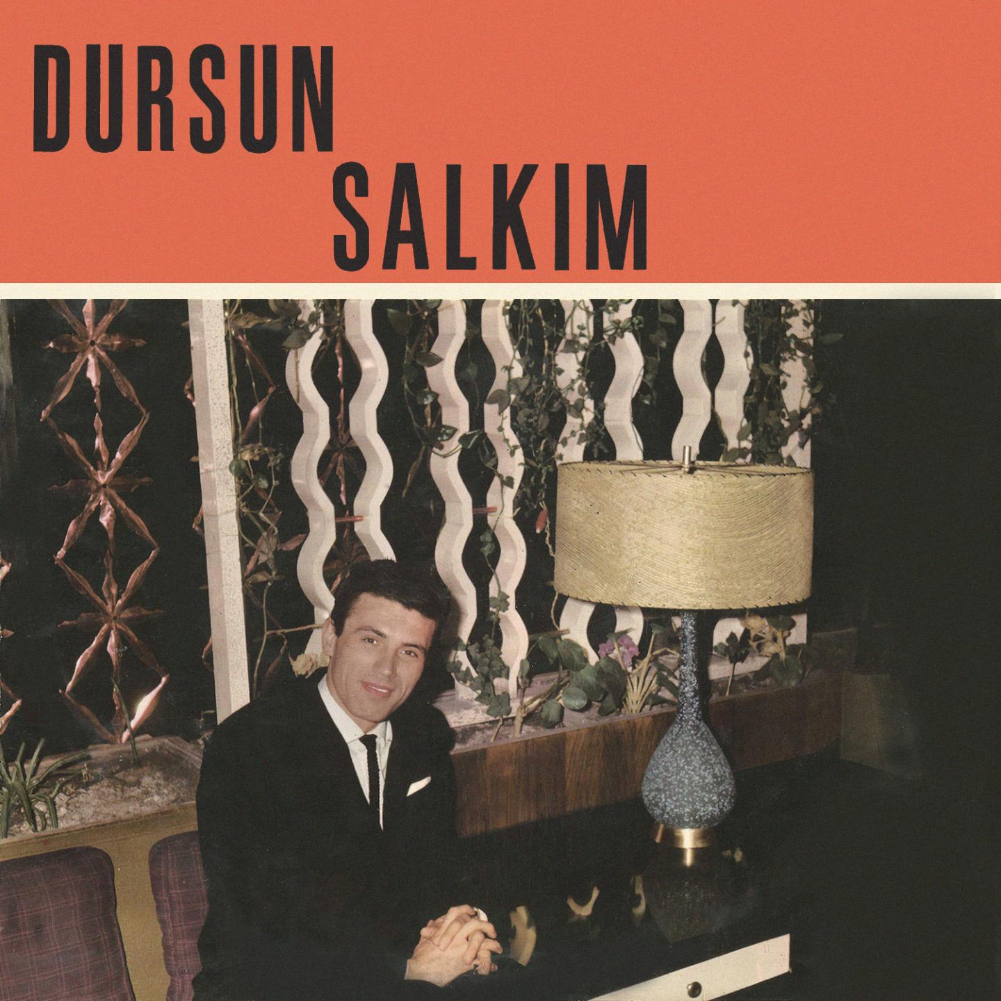 Постер альбома Dursun Salkım