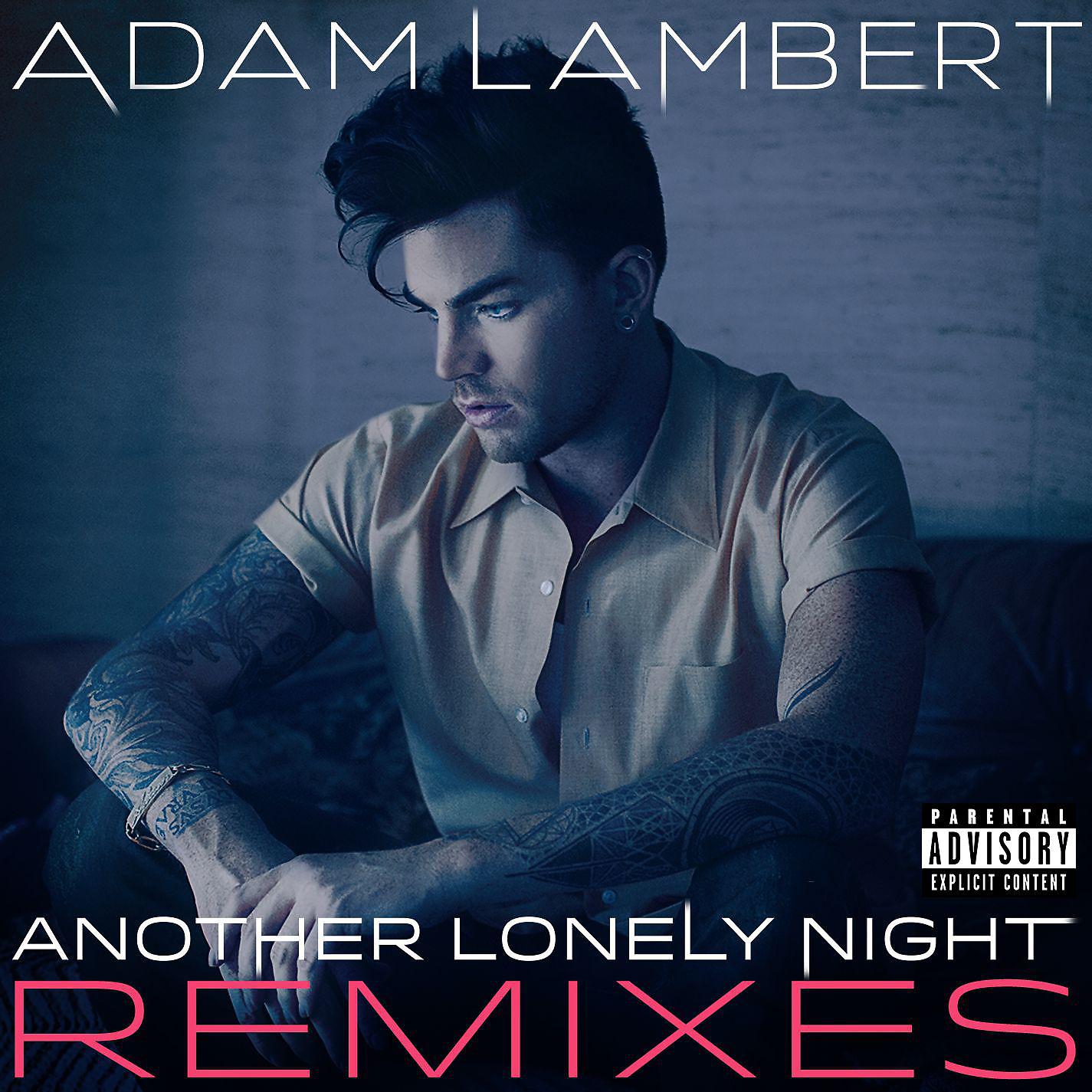 Постер альбома Another Lonely Night (Remixes)