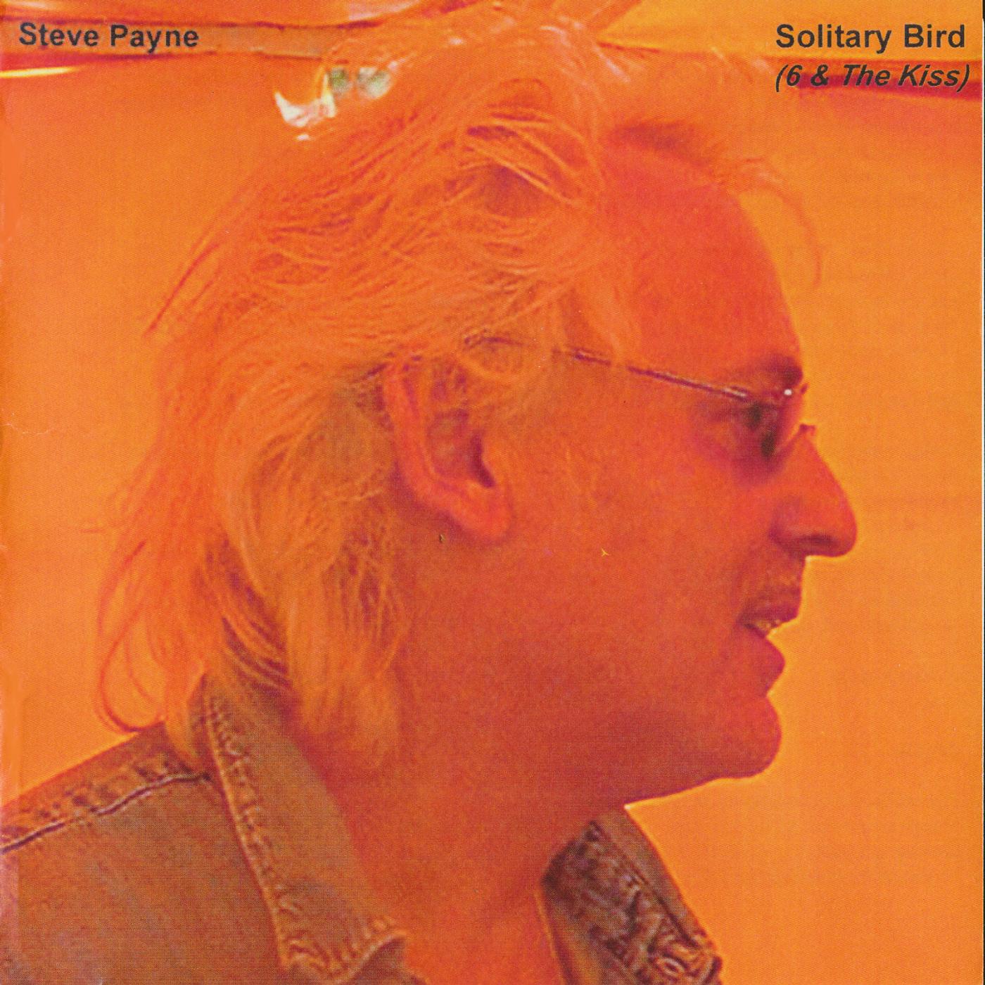 Steve Payne - Solitary Bird