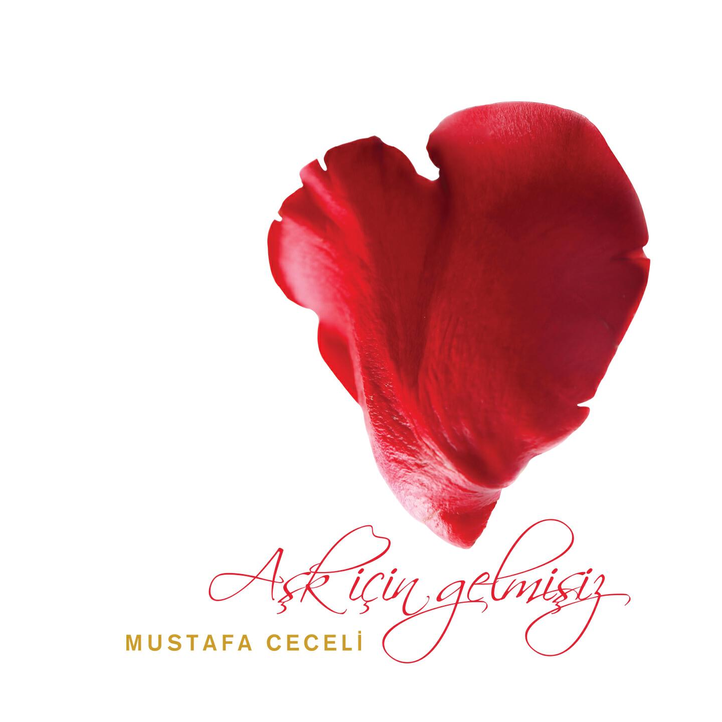 Mustafa Ceceli - Derviş Bağrı Taş Gerek
