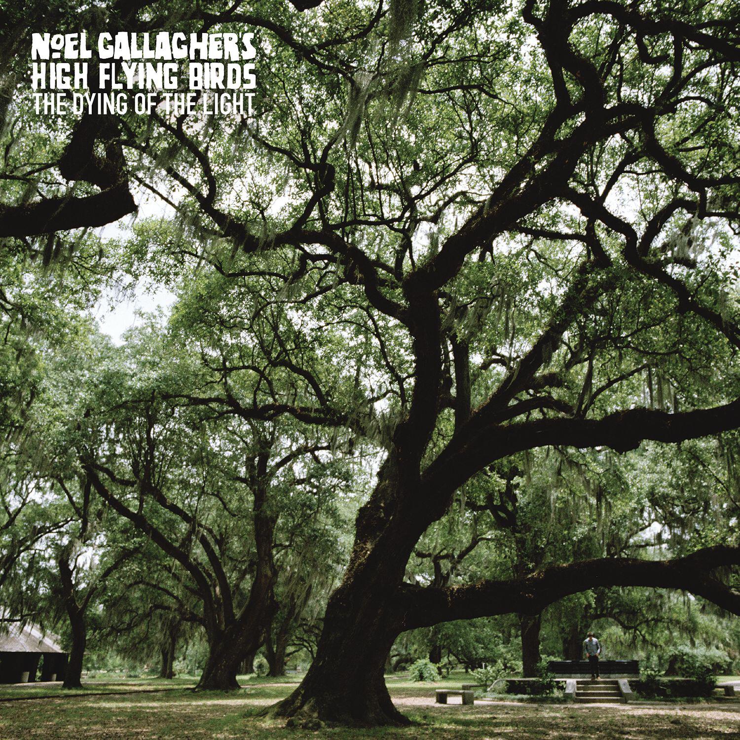 Noel Gallagher's High Flying Birds - The Girl With X-Ray Eyes (Demo)