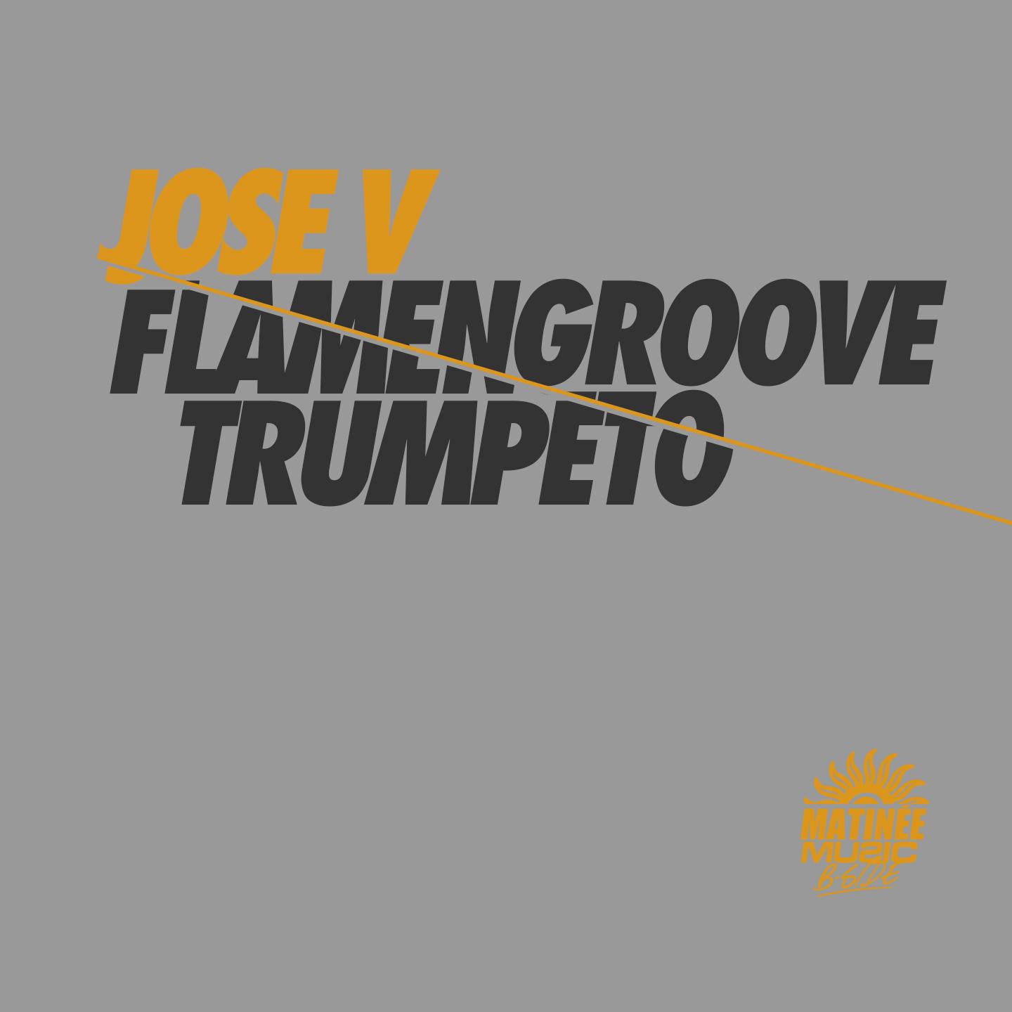 Постер альбома Flamengroove / Trumpeto