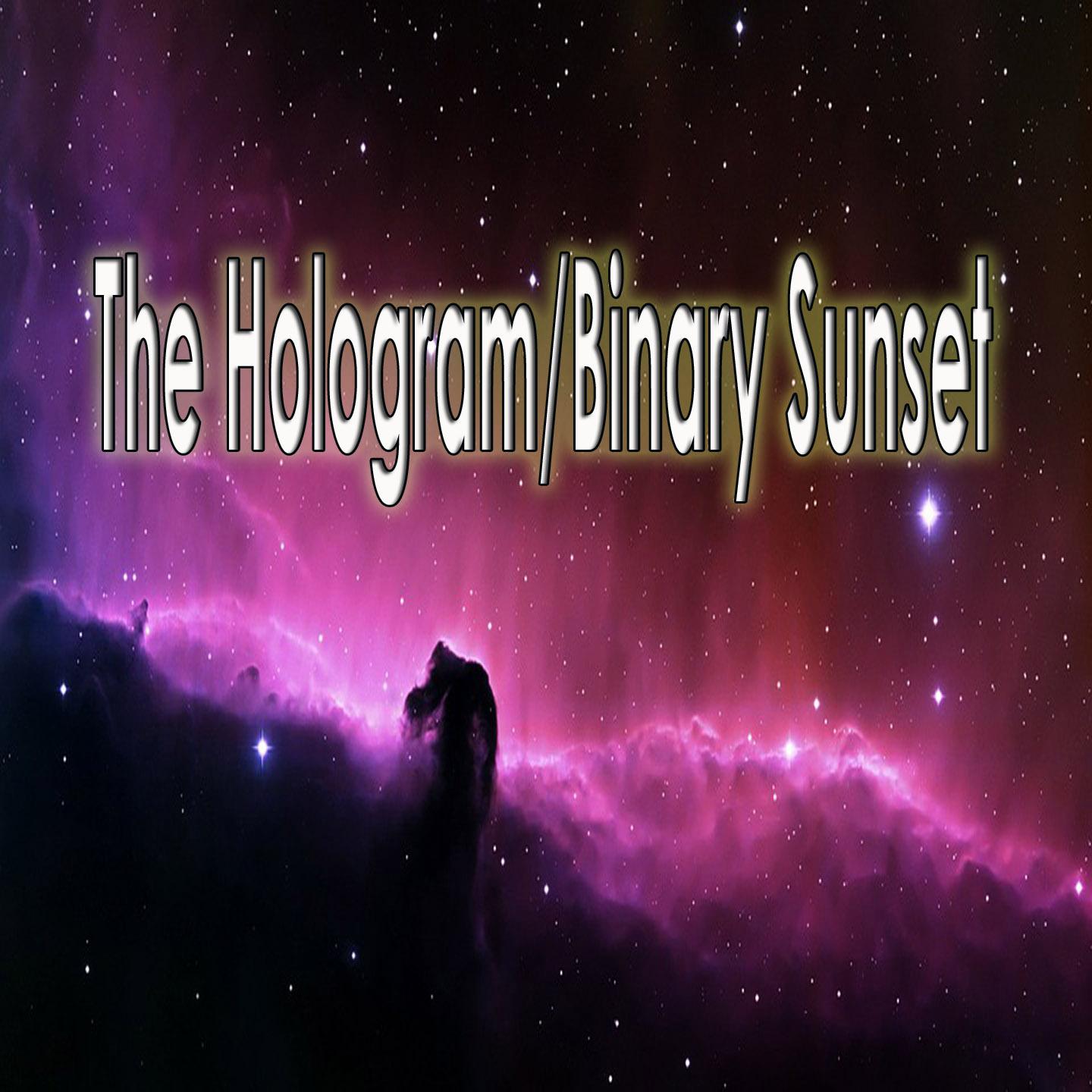 Постер альбома The Hologram/Binary Sunset