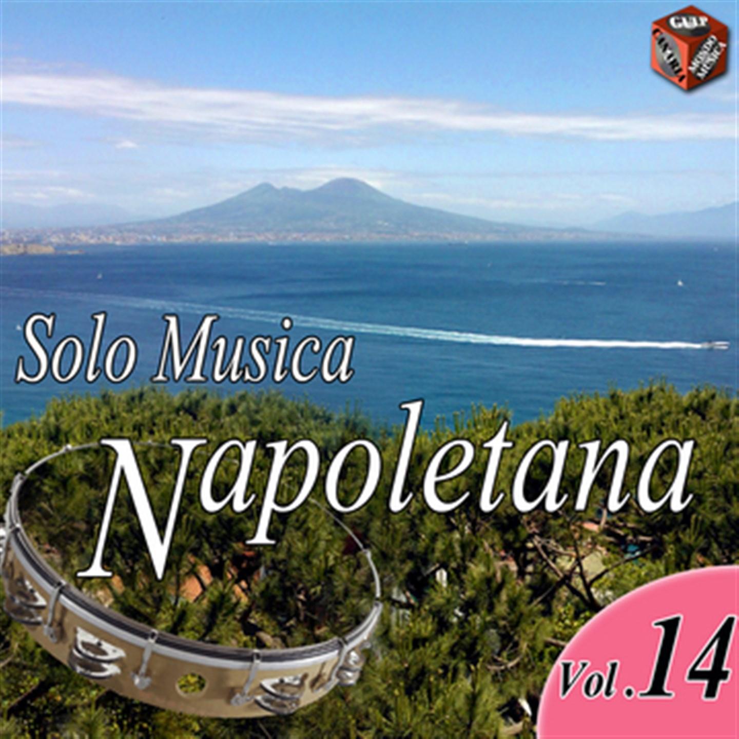 Постер альбома Solo musica napoletana, Vol. 14