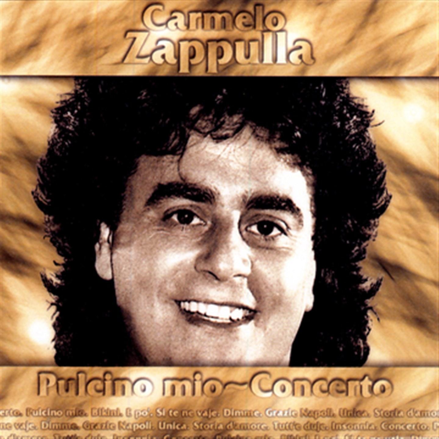 Постер альбома Pulcino mio (Concerto)