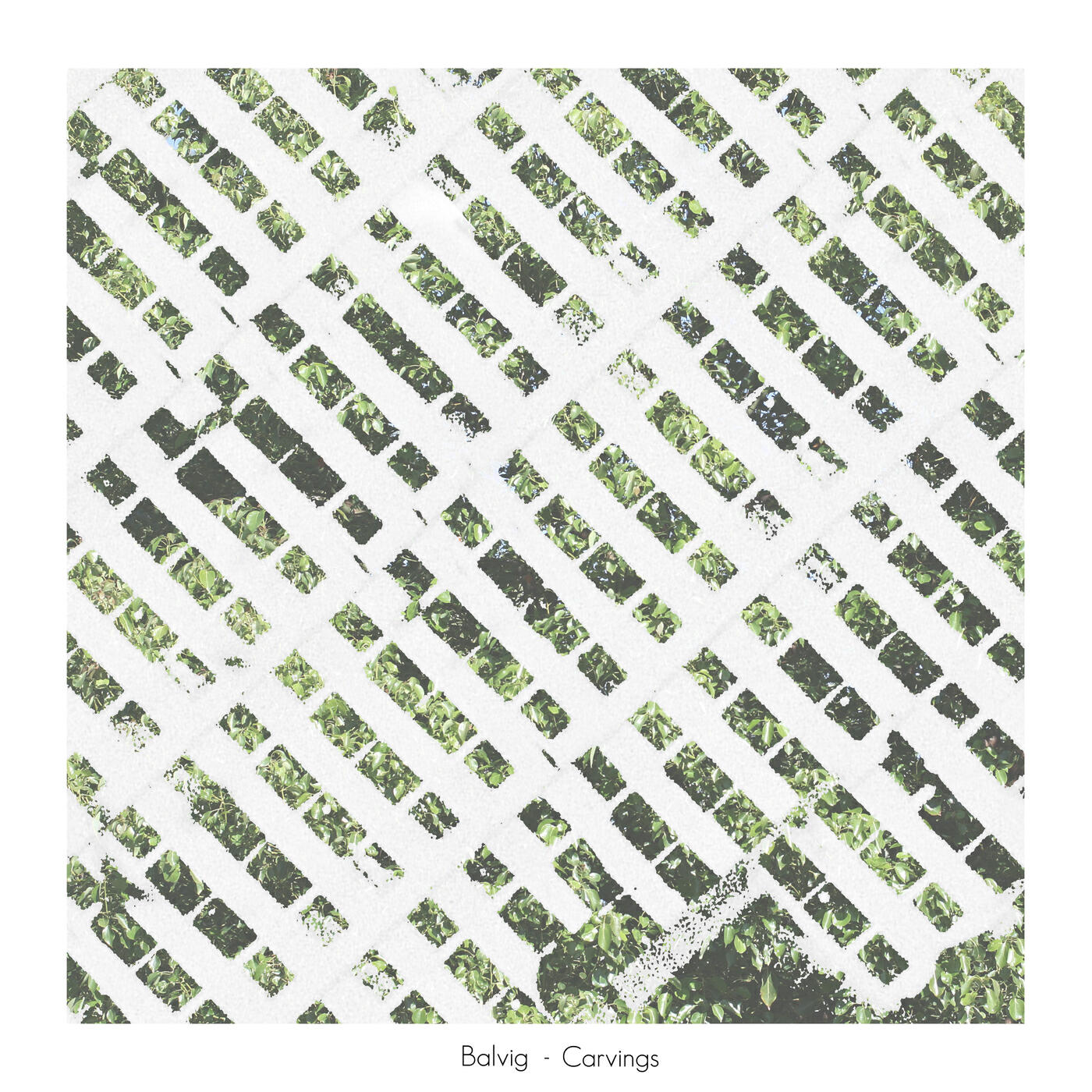 Balvig - Kinnawhite