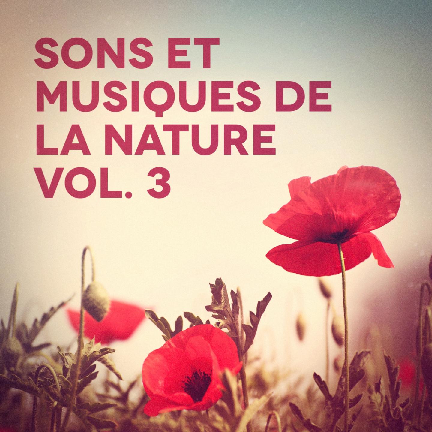 Постер альбома Sons et musiques de la nature, Vol. 3
