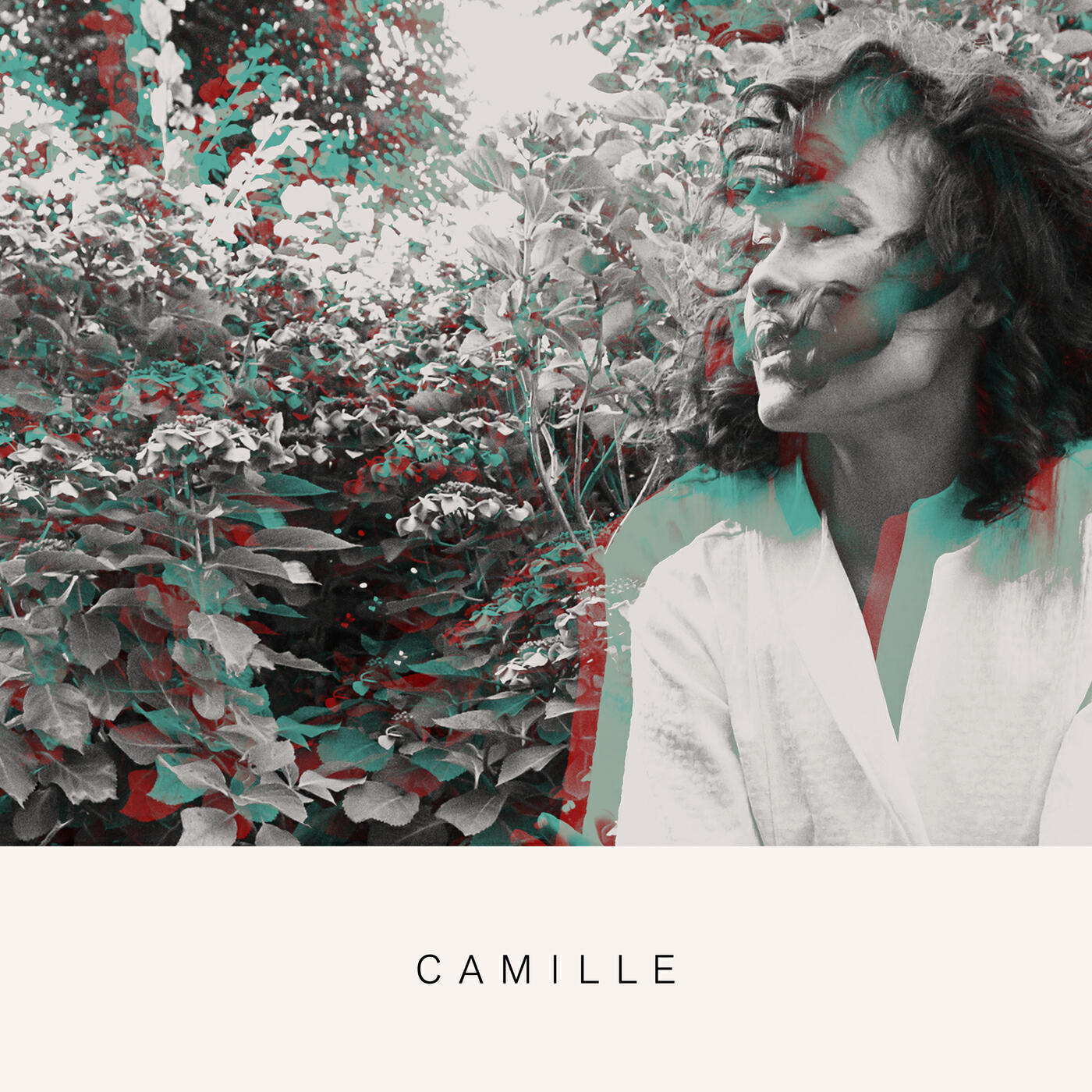 Camille Jones - About Us