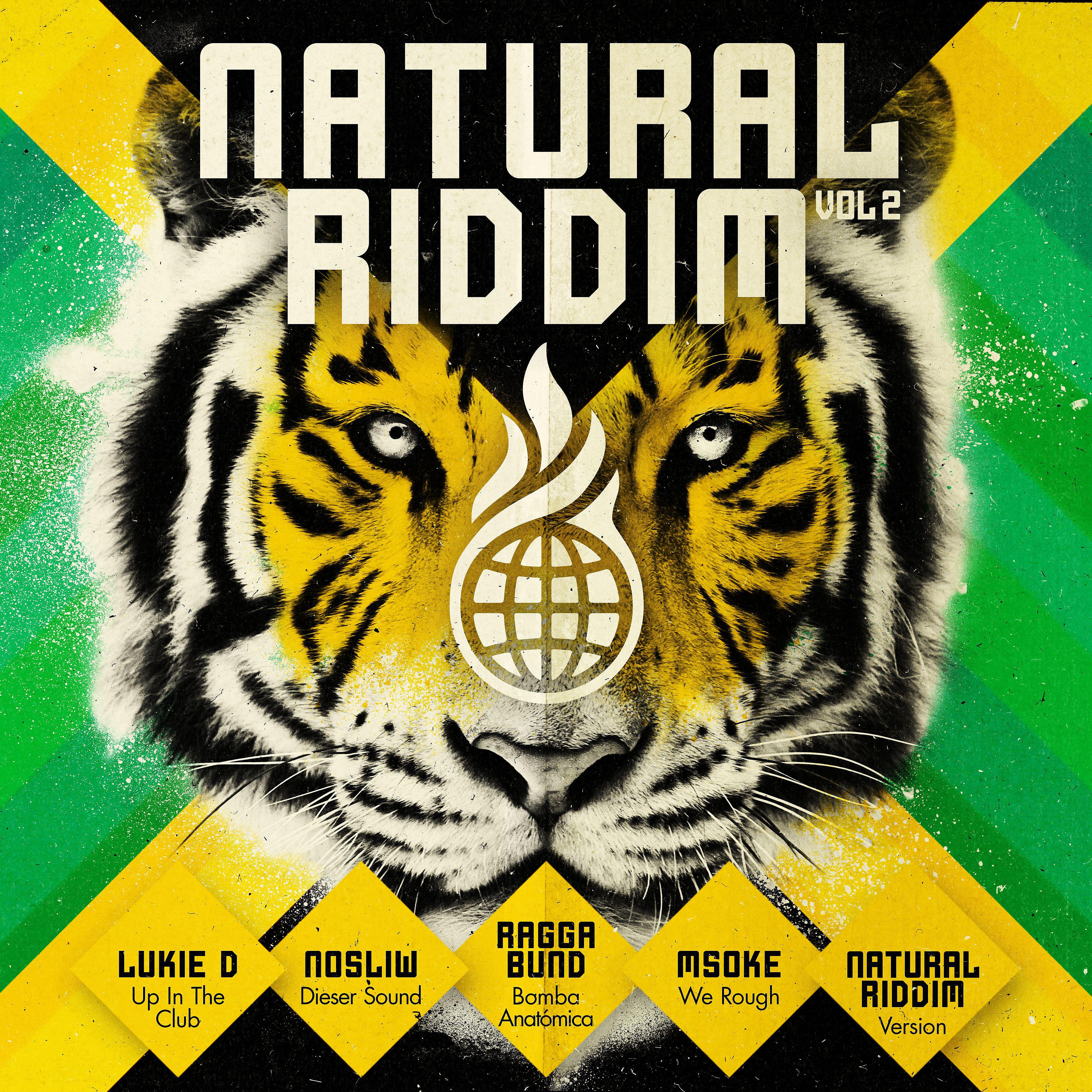 Постер альбома Natural Riddim Vol. 2
