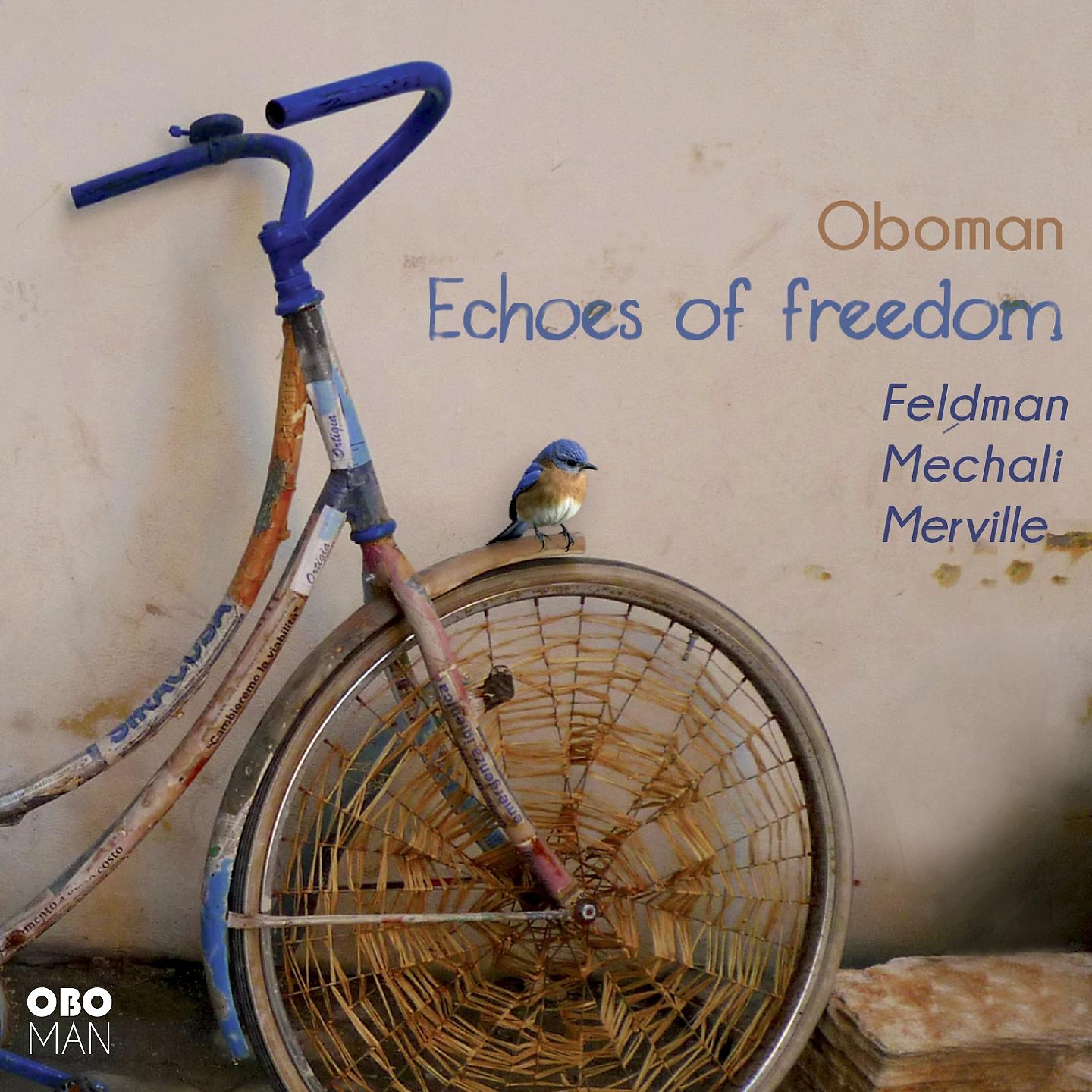 Постер альбома Echoes of Freedom