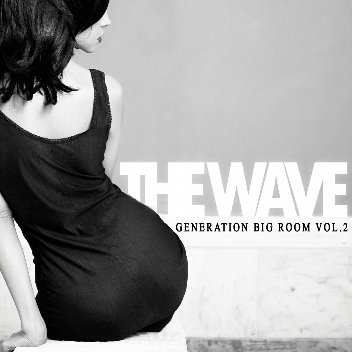Tommy Henriksen - Give'm Hell (LeeRoy Radio Mix)