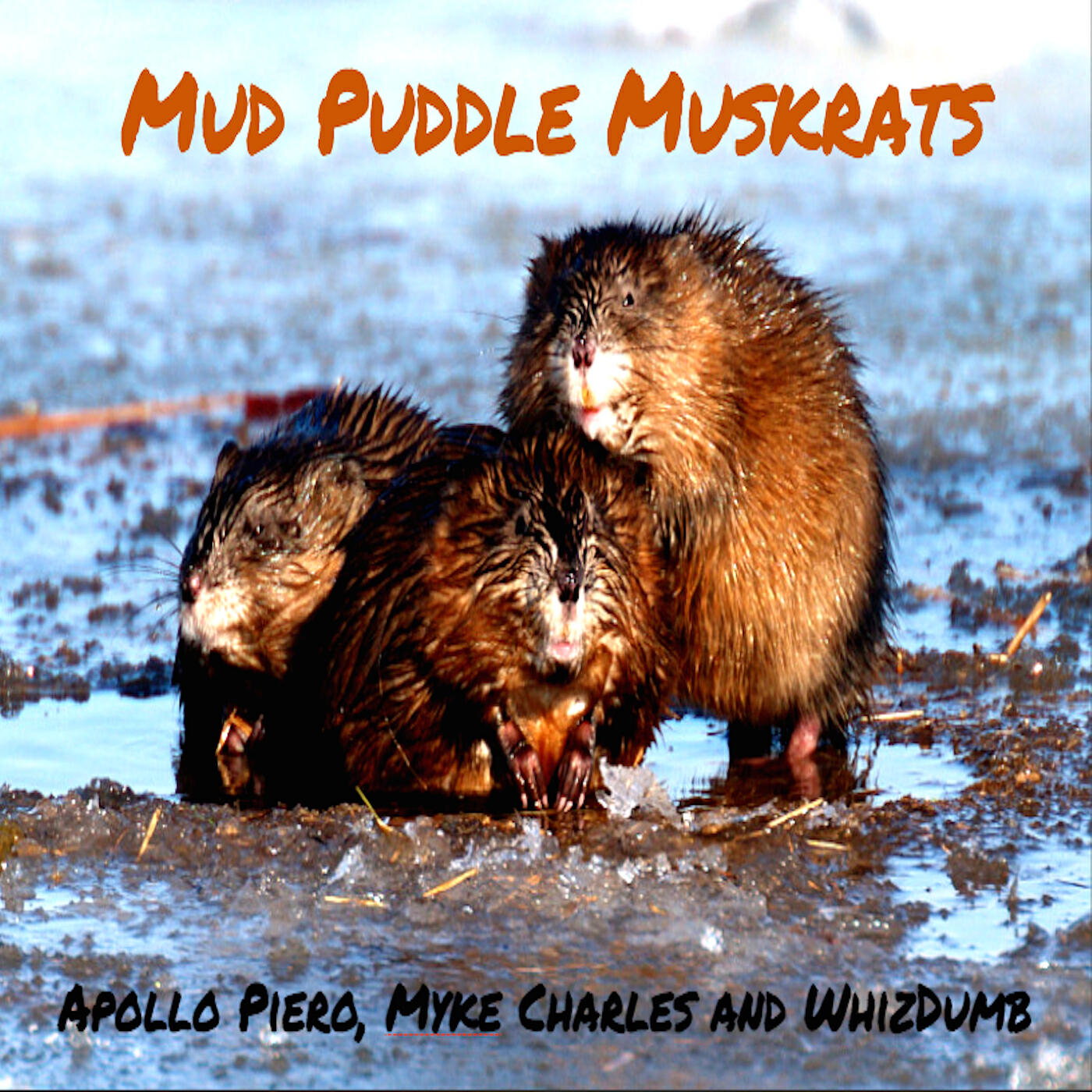 WhizDumb, Myke Charles, Apollo Piero & ... - Mud Puddle Muskrats